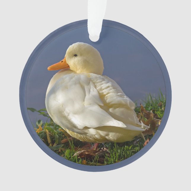 Little White Duck Ornament (Vorderseite)