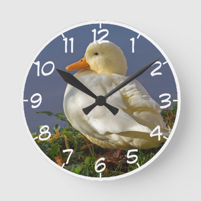 Little White Duck Runde Wanduhr (Vorderseite)