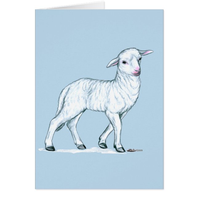 Little White Lamb (Vorne)