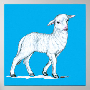 Little White Lamb Poster