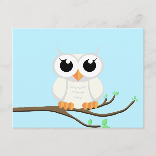 Little White Owl - Leere Postkarte (Vorderseite)