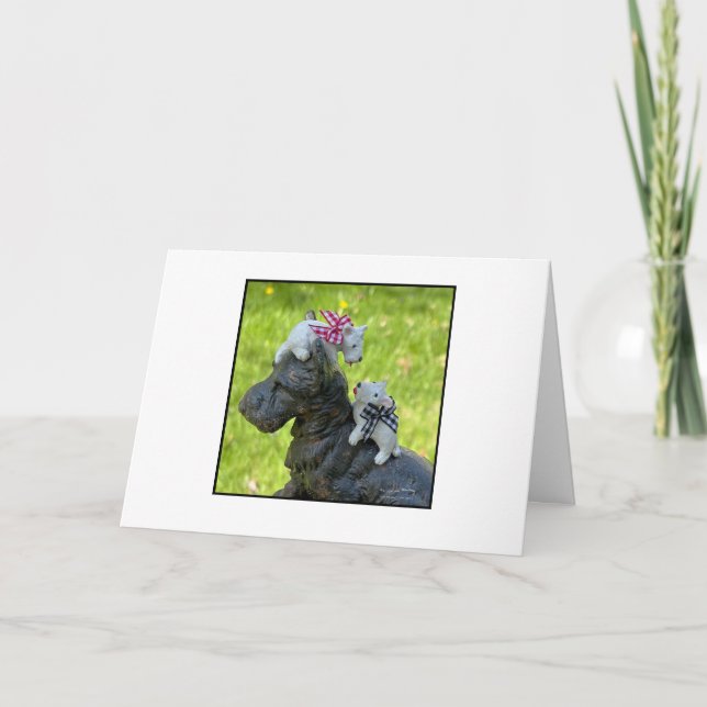 Little White Westies Karte (Vorderseite)