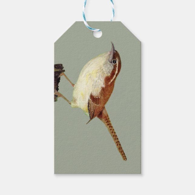 Little Wren Geschenkanhänger (Vorderseite)