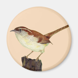 Little Wren Magnet