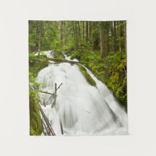 Little Zig Zag Falls   Hood National Forest Wandteppich