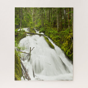 Little Zig Zag Falls   Mount Hood National Forest