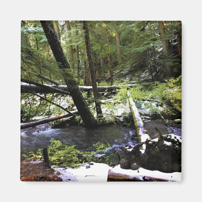 Little Zigzag River, Oregon Magnet (Vorne)