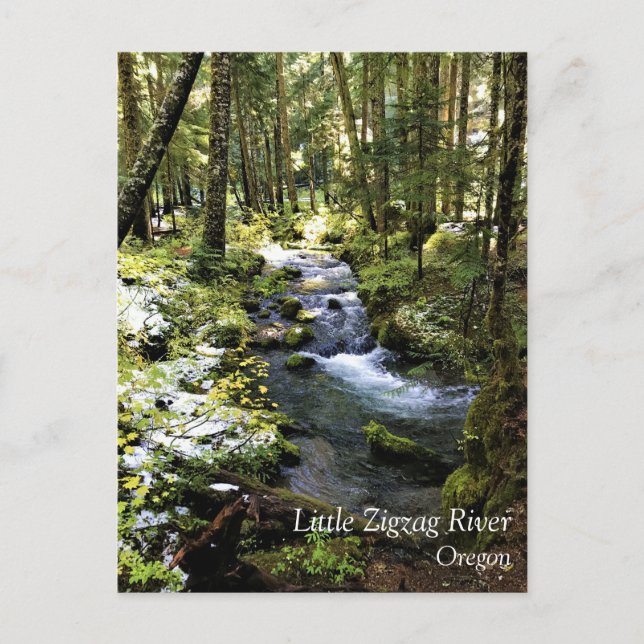 Little Zigzag River, Oregon Postcard Postkarte (Vorderseite)