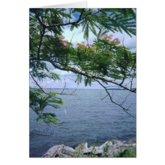 LittleBayParkBayside 001