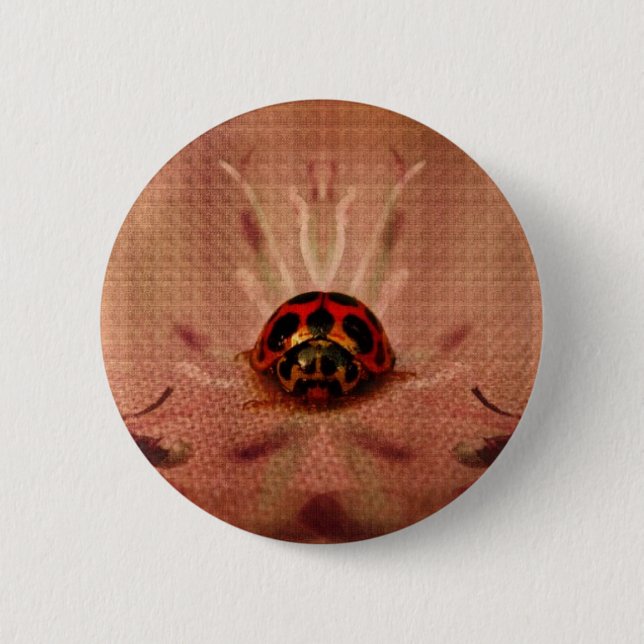 LittleLadyBug Button (Vorderseite)