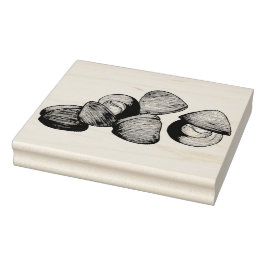 Littleneck Clams Seafood Clambake Clam Gravur Gummistempel