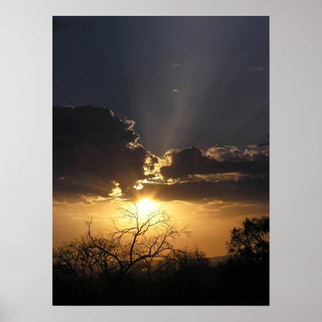 Live Art Views Poster (Vorne)