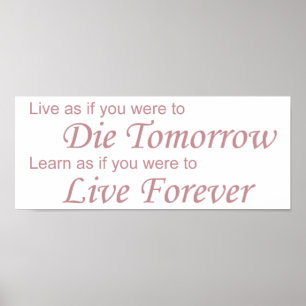 Live - Die Morgen rosa Poster