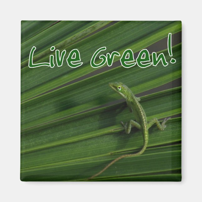 Live Green Lizard Magnet (Vorne)