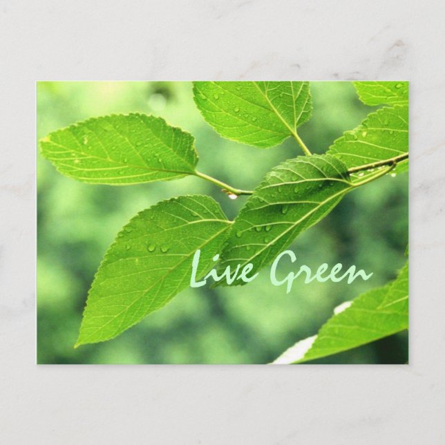 'Live Green' Postkarte (Vorderseite)