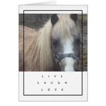 LIVE, LACHEN, LIEBE-PONY - LEERE KARTE