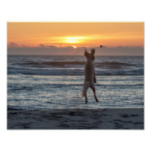 "Live Large" Beach Sunset Foto Print (14" x 11")