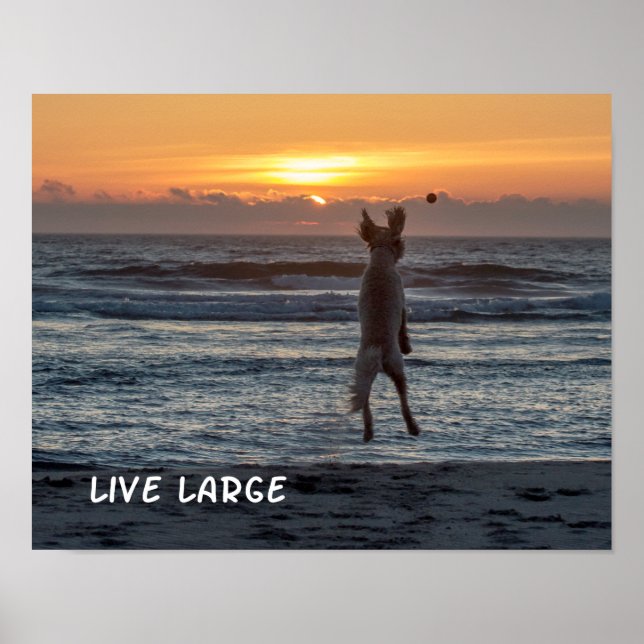 "Live Large" Beach Sunset Poster (14" x 11") (Vorne)