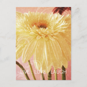 Live Liebe Laugh Gerbera Blume Light Grunge Postkarte