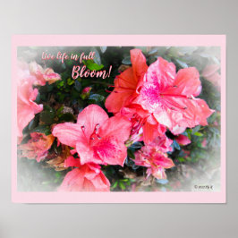 Live Life in Full Blood Floral Azaleen Poster