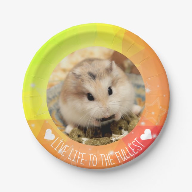 Live Life to Fullest - Hammyville Hamsters Pappteller (Vorderseite)