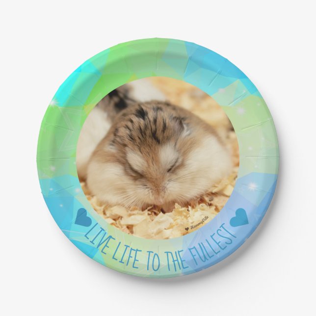 Live Life to Fullest - Hammyville Hamsters Pappteller (Vorderseite)