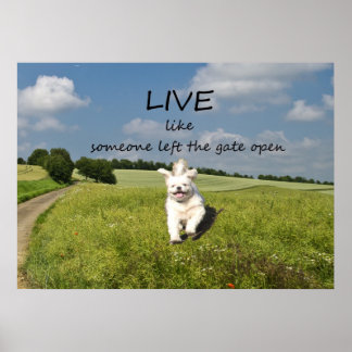 Live Like One Left Gate Open Poster