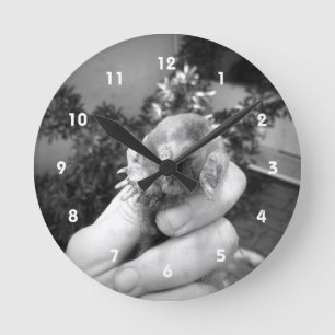 Live mole in hand smiling animal black white runde wanduhr