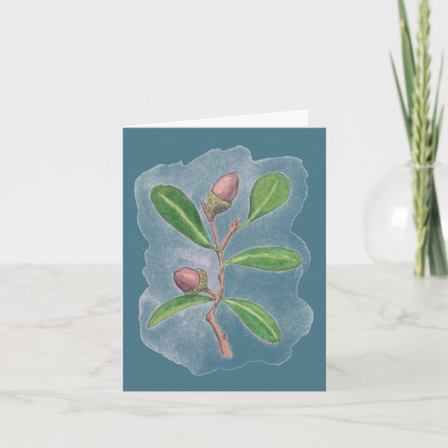 Live Oak Card - Blau Karte (Vorderseite)