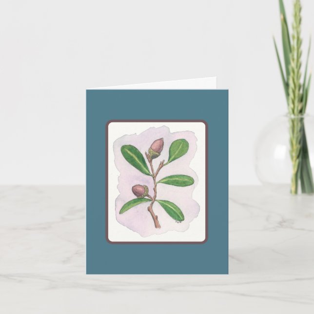 Live Oak Card: Blau und Braun Karte (Vorderseite)