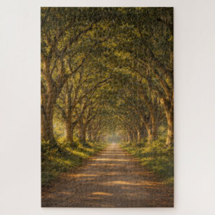 Live Oak Path   Landschaft   Puzzle