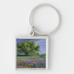 Live Oak & Texas Paintbrush und Texas Schlüsselanhänger