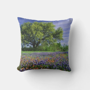 Live Oak und Texas Paintbrush und Texas Kissen