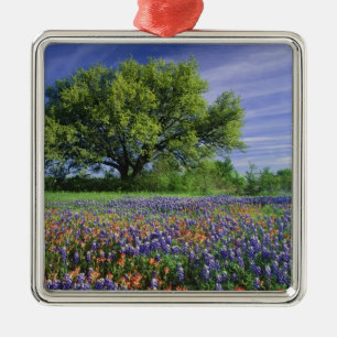 Live Oak und Texas Paintbrush und Texas Ornament Aus Metall
