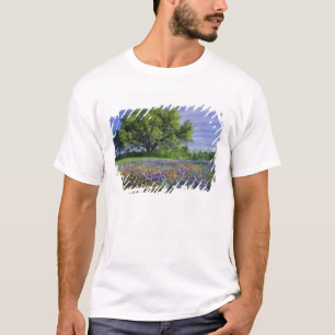 Live Oak und Texas Paintbrush und Texas T-Shirt