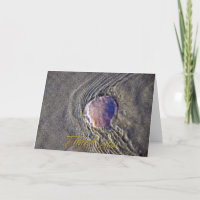 Live Sand Dollar Foto Danke Karte