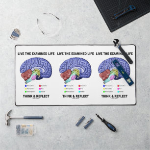 Live The Examiné Life Think & Reflect Conseils