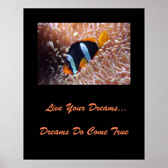 Live Your Dream Poster (Vorne)
