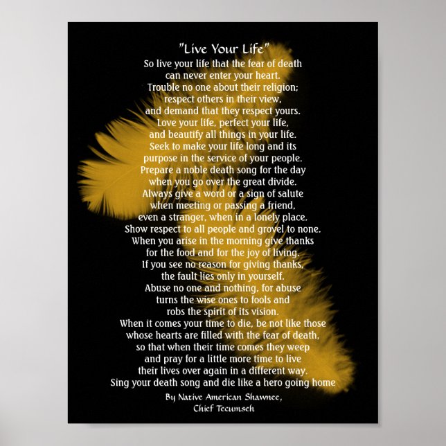 "Live Your Life"  Golden feathers, Chief Tecumseh Poster (Vorne)