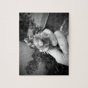 Livelächelndes tierischesSchwarz-weißes der mole