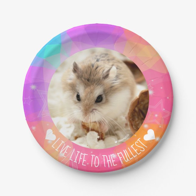 Liveleben zum vollsten - Hammyville Hamster Pappteller (Vorderseite)
