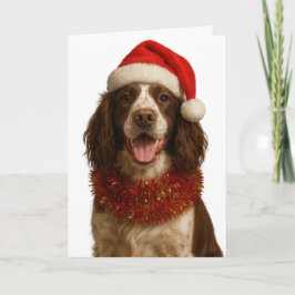 Liver and white Springer Spaniel Christmas card Karte