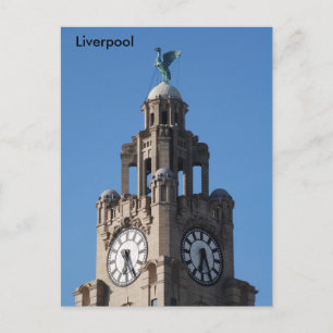 Liver Bird Postcard Postkarte