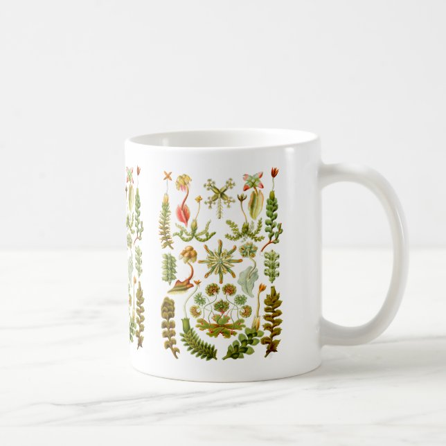 Liverworts Kaffeetasse (Rechts)