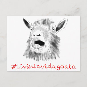 Livin La Vida Goata Funny Screening Ziege Zeichnen Postkarte