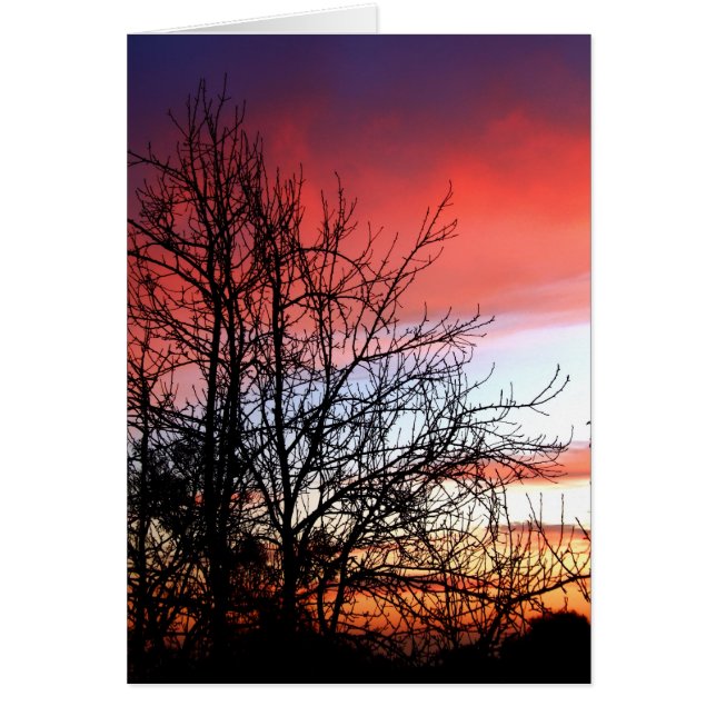 Living Art Tree Silhouette Red Skies Card (Vorne)