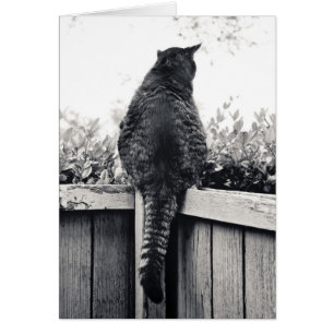 Living Gargoyle