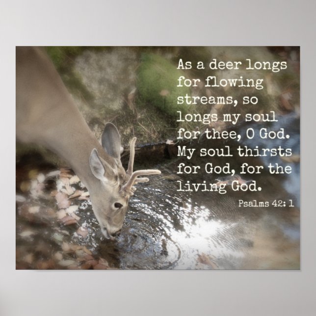 Living Waters Poster (Vorne)
