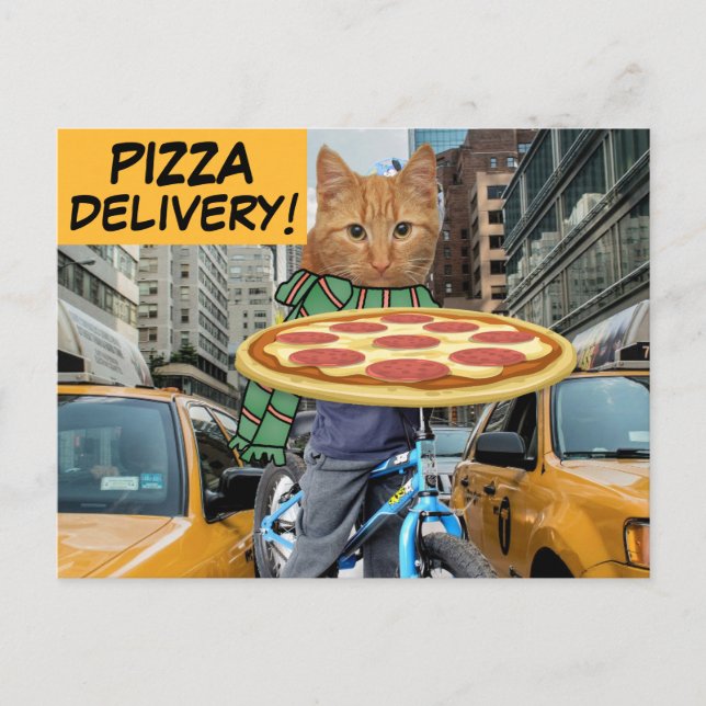 LIVRAISON DE PIZZA ! CARTES POSTALES DE CHAT (Devant)