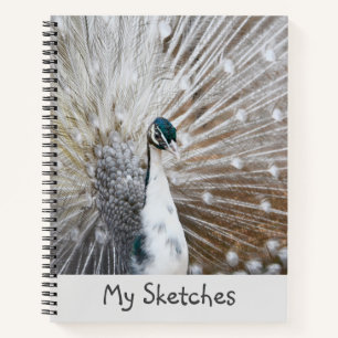 Livre blanc Peacock